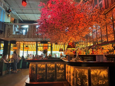 Restaurant/places to eat, Lounge or bar