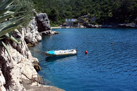 Apartments by the sea Cove Pokrivenik, Hvar - 5231 Apartment in Dubrovnik-Neretva County