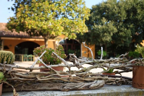 Patio, Facade/entrance, Garden