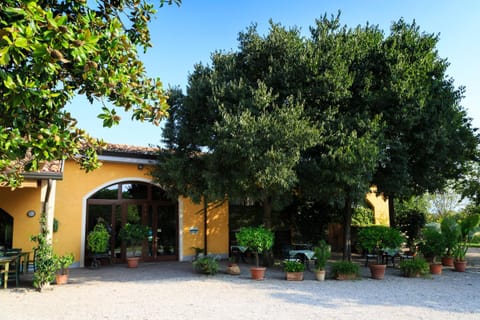 Facade/entrance, Garden, Balcony/Terrace