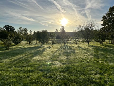 Natural landscape, Sunrise