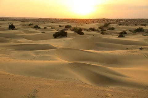 Sunny Desert Camp Campingplatz /
Wohnmobil-Resort in Sindh