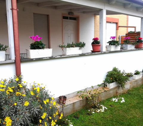 Patio, Facade/entrance