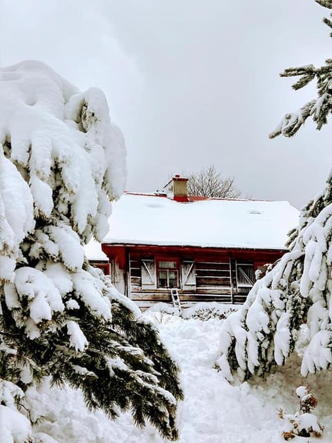 Property building, Day, Natural landscape, Winter