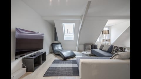 Luxury Penthouse Apartment Condo in Zurich City