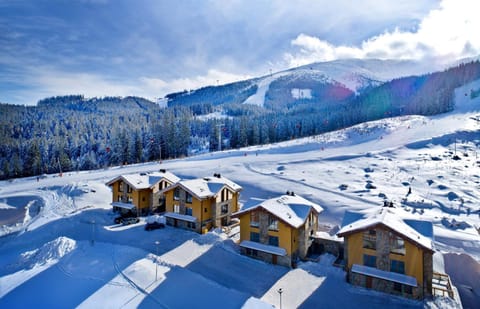 Chalets Minerália Apartment in Slovakia