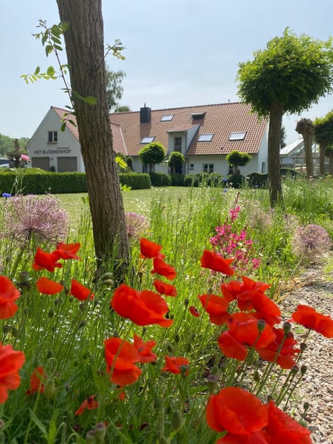 Boutique hotel Het Bloemenhof Hotel in Bruges