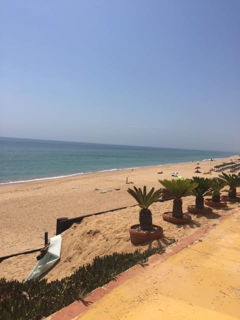 Day, Natural landscape, Beach