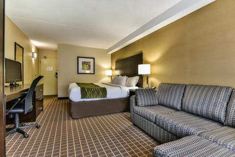 Comfort Inn Windsor Hotel in Windsor