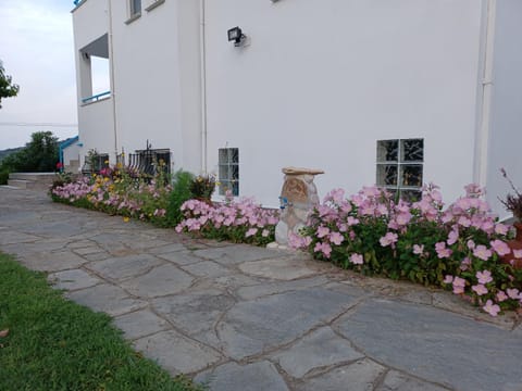 Gaby's Villa Villa in Thasos