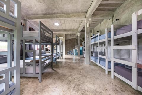 Deishaview Jungle Hostel Hostel in Ko Tao