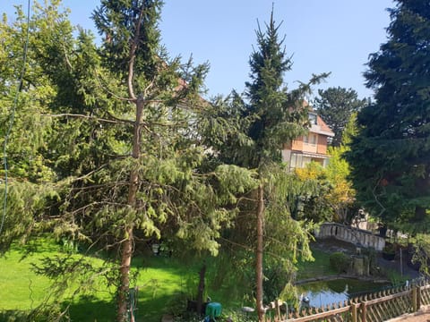 Natural landscape, Garden view