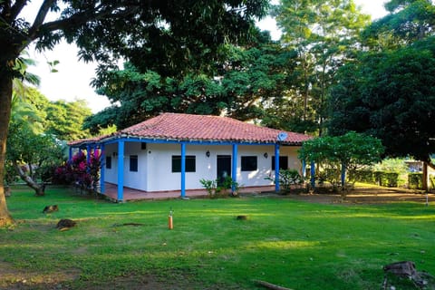 Property building, Garden, View (from property/room), Garden view