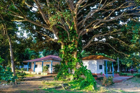 Property building, Garden