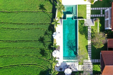 Property building, Garden, Garden view, Swimming pool, sunbed