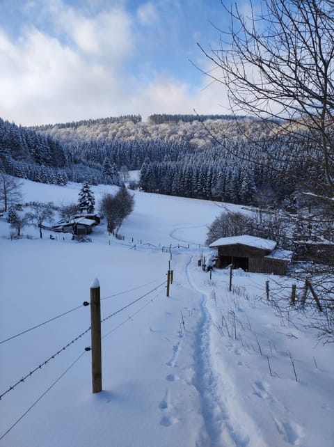 Ferienwohnung Finkeldei Apartment in Winterberg