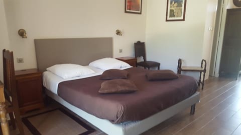 Chambres d'hôtes Les Palmiers de la Cité Bed and Breakfast in Carcassonne
