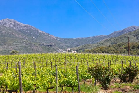 lieu dit torra Eigentumswohnung in Corsica