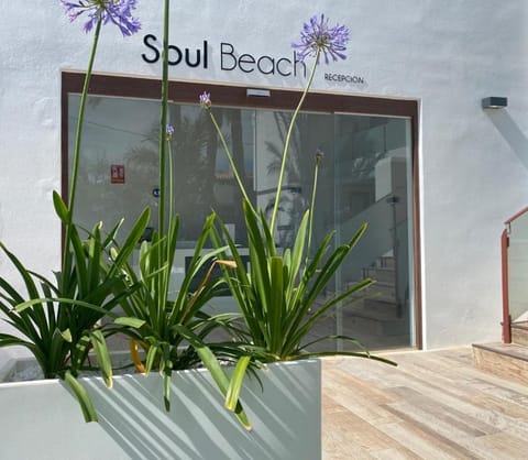 Soul Beach Hotel By Mc - Adults Recommended Hôtel in Marina Alta