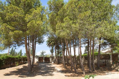 Day, Garden, On site, Garden view