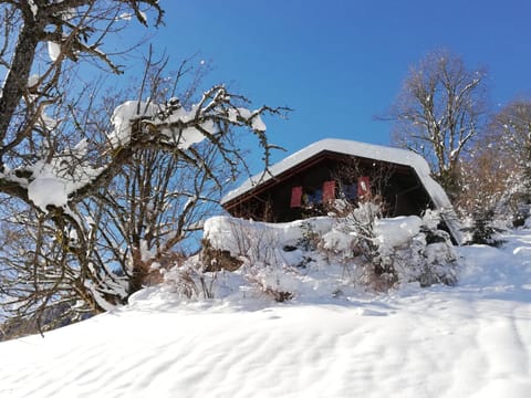 Ferienhaus Schnider Haus in Canton of Grisons