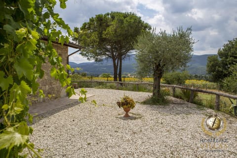 Day, Garden, Garden view, Mountain view