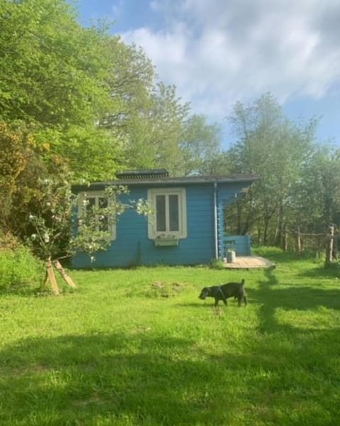 Property building, Spring, Day, Natural landscape, Garden, Garden view