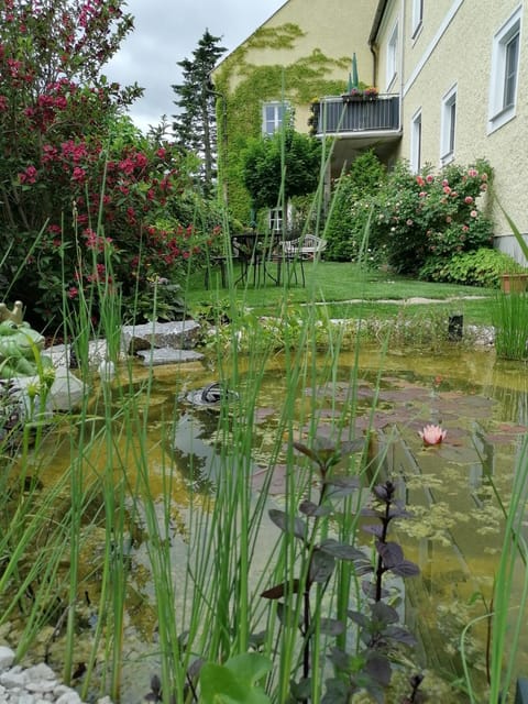 Property building, Garden