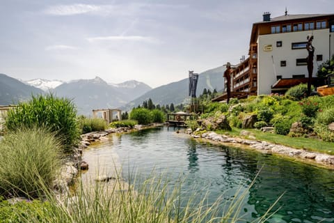 Spring, Day, Garden, Swimming pool