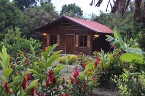 Hospedaje en el Lago Natur-Lodge in Cortés Department