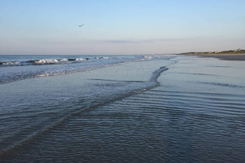 The Blue Pearl House in Kiawah Island