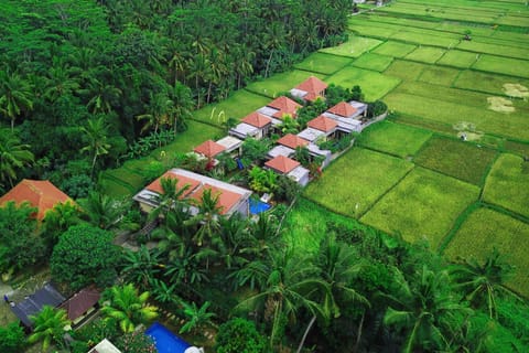 Bird's eye view, Balcony/Terrace