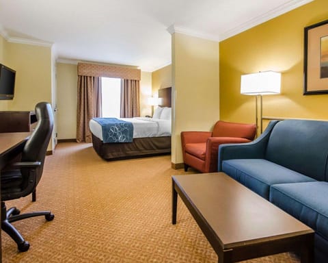 Comfort Suites Hotel in Elizabethtown