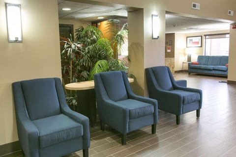 Lobby or reception, On site