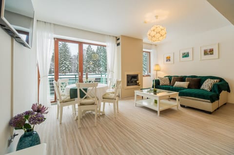 Charming 2-Bedroom, Silver Mountain, A Building Condo in Brasov