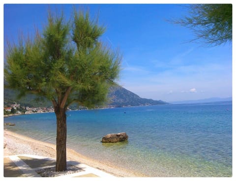 Day, Natural landscape, Beach