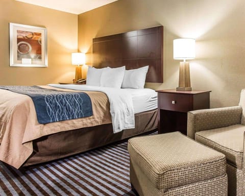 Comfort Inn & Suites Ballpark Area Hotel in Smyrna