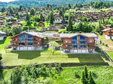 Apartment La Corniche 2 by Interhome Apartment in Nendaz