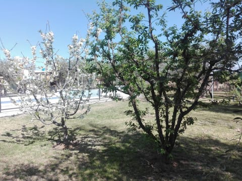 Cabañas Terra Olivo Natur-Lodge in Maipú