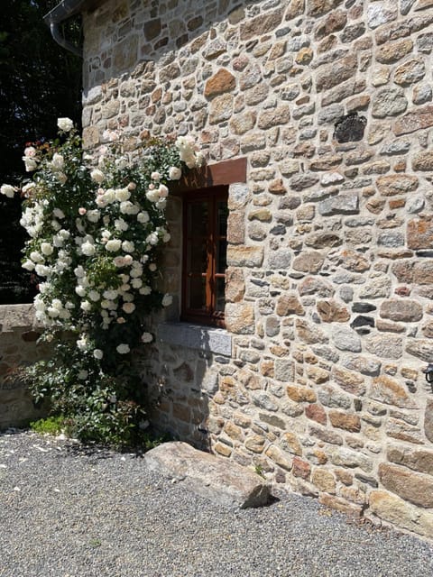 Property building, Garden, Garden view