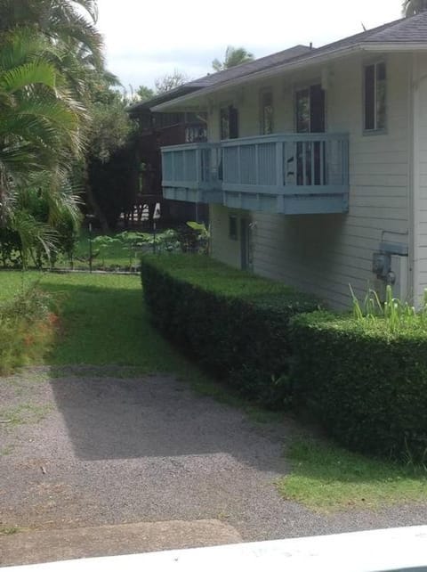 Property building, Garden view