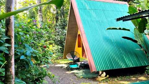 Chalets Silencio del Bosque Nature lodge in Alajuela Province