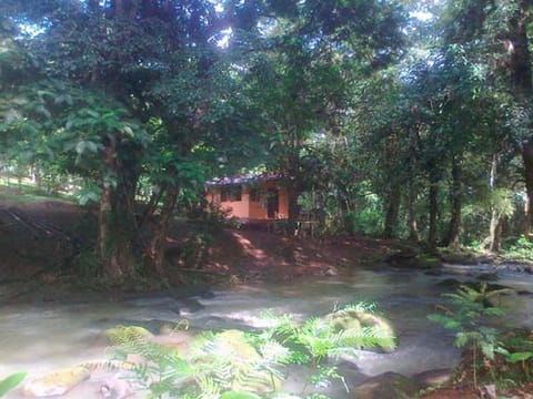 Vanilla Jungle Lodge - Rainforest Waterfall Garden Nature lodge in Heredia Province