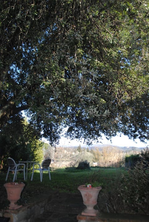 Garden, Garden view