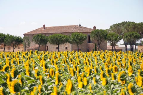 Terra di Cortona Farm Stay in Umbria