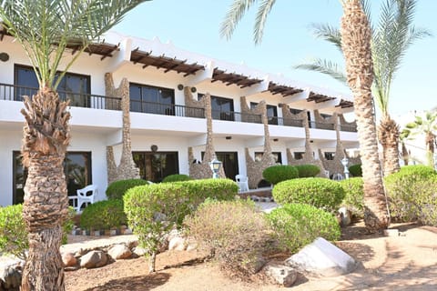 Turquoise Beach Hotel Resort in South Sinai Governorate