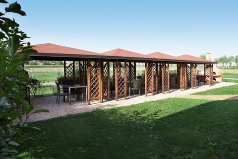 Patio, Garden, Garden view