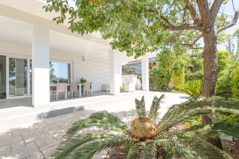 Property building, Garden, Garden view