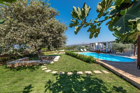 Garden, Swimming pool