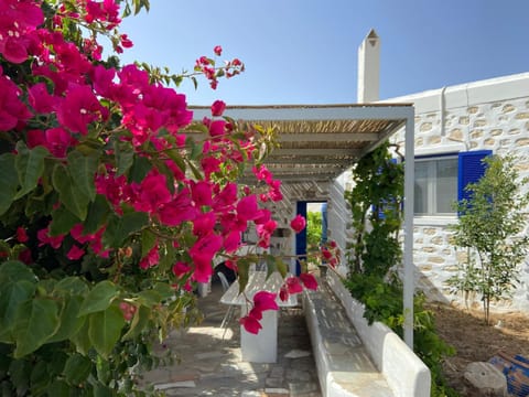 Villa Ambelas - Traditional House Haus in Paros, Greece